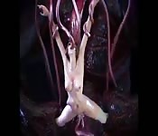 Porno tentacule