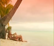 Island Fever 3