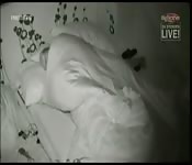 Annina Ucatis fickt in Big Brother