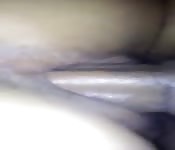 Culo peloso donna