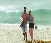 Chiappe brasiliane