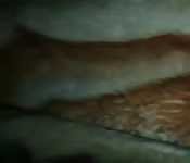 Video casero esposa