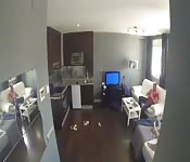 BBW fucks a skinny while guy