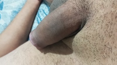 Pollito jugeton
